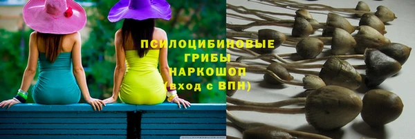прущая мука Лабытнанги