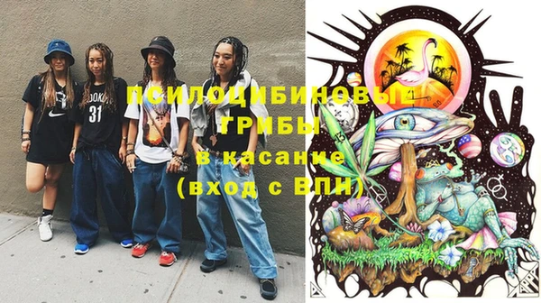 шишки Лихославль