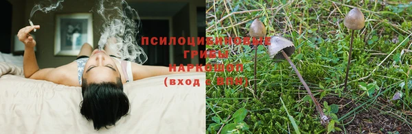 бутират Ладушкин