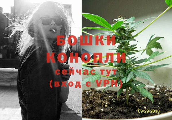 шишки Лихославль