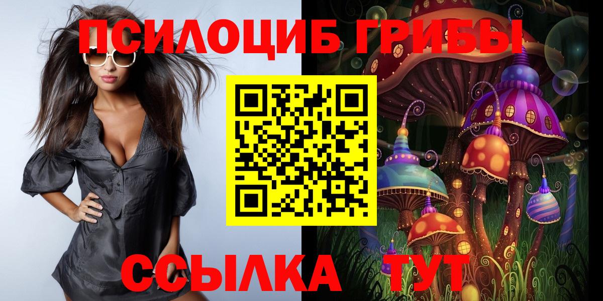 Псилоцибиновые грибы мицелий  Галлюциногенные грибы Psilocybine cubensis  Калининград 