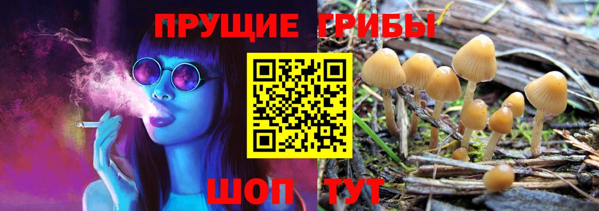 Галлюциногенные грибы прущие грибы Калининград